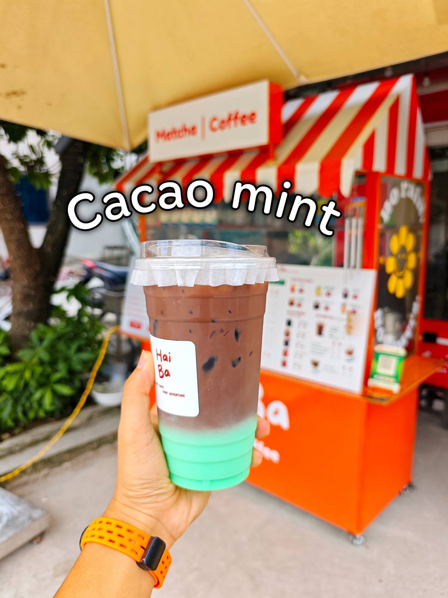 Cacao Mint
